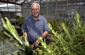 UMass Professor Blocked From Growing Marijuana For Medical Research