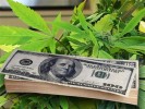 Time: Will High Marijuana Taxes Encourage Black Markets?
