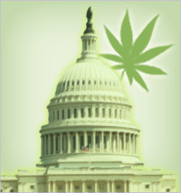 Details on the New Federal Marijuana Legalization Measures