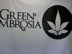 Green Ambrosia: Largest Pot Dispensary in Seattle Opens