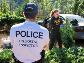 Marijuana Postal Service Scheme Busted