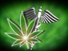 NJ Governor Claims He’s Not Sabotaging Medical Marijuana