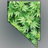 Nevada Senator Working on Medical Marijuana Dispensary Bill