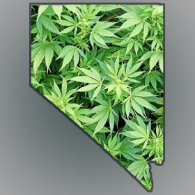 Nevada Senator Working on Medical Marijuana Dispensary Bill