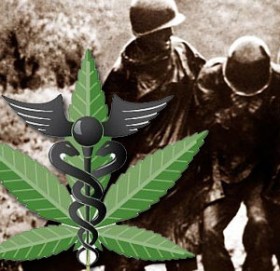 8156502591_8f16d6db8d cannabis veterans ptsd, Source: http://farm9.staticflickr.com/8209/8156502591_8f16d6db8d.jpg