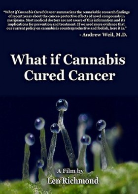 Video: What if Cannabinoids in Cannabis Cured Cancer & Other Diseases?