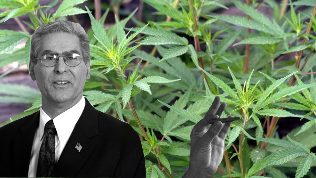 anti-weed ny republican just got busted for weed Source http://content.animalnewyork.com/wp-content/uploads/katzblunt.jpg