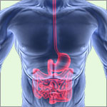 study cannabinoid mitigates colitis Source http://norml.org/images/ezine/gastro_intestinal2.jpg