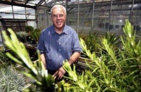 Court Rejects Researcher’s Bid to Grow Medical Marijuana