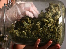Seattle Police Return Marijuana Taken from Street Dealers