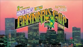 2013 High Times Cannabis Cup in Denver: Dabba Dabba Hey!