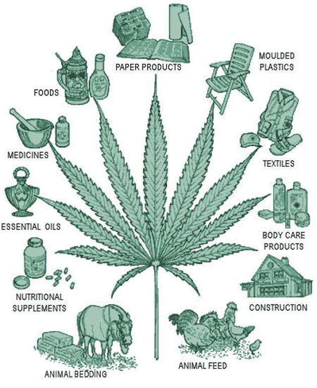 hemp-uses-infographic, Source: http://jontalkspolitics.files.wordpress.com/2011/04/hemp1a.jpg