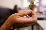 Report: No Easy Options for Feds in Legal Marijuana States