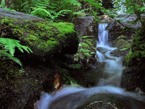 point defiance park tacoma washington waterfall stoner destination