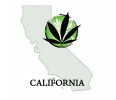 CA Assembly Considers Medical Marijuana Regulation Bill