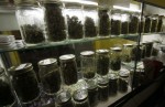 Nevada Medical Marijuana Dispensary Bill Moves to Senate