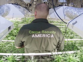 This Marijuana Security Firm Struck Gold After Solving One of the Toughest Problems in Legalization