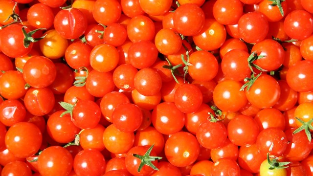 Worst Super Ever Mistakes Tomatoes for Weed, Calls Cops Source http://content.animalnewyork.com/wp-content/uploads/tomato-weed-superintendent.jpg