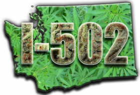 I-502 & Hempfest 2013: Can’t We All Just Get Along?