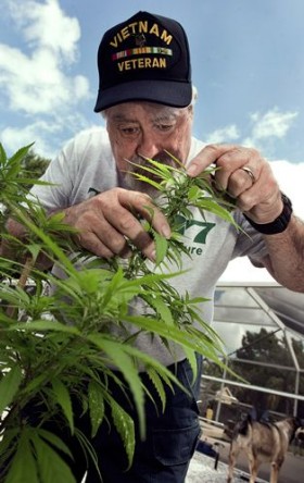 Medical Marijuana Battle Coming to Florida