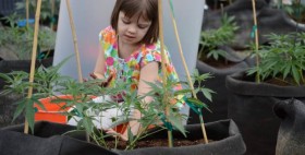 Medicinal Marijuana Stops Seizures, Brings Hope to a Little Black Forest Girl