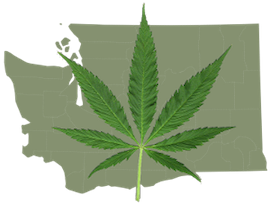 What Will Legal Marijuana Look Like in Washington Source http://www.thecompassionchronicles.com/wp-content/uploads/2013/03/WashingtonWithPotLeaf.png