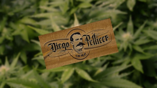 diego-pellicer-weed-brand Starbucks of Weed Source http://content.animalnewyork.com/wp-content/uploads/diego-pellicer-weed-brand.jpg