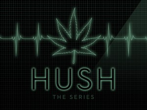 hush the series - medical cannabis web series drama, Source: https://s3.amazonaws.com/ksr/projects/541299/photo-main.jpg?1367376043