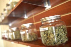 Feds Raid Another 103 SoCal Marijuana Stores