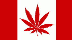Canada Changes Medical Marijuana Regulations