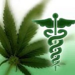 medical marijuana; source: http://www.cannabisnews.org/wp-content/uploads/2012/09/medical-marijuana-cannabis.jpeg