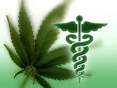Most MedPage Today Readers Support Medical Marijuana Use