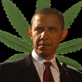 obama administration - medical marijuana cases, Source: http://www.clevelandleader.com/files/obamapot.jpg