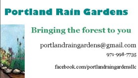 Rain Gardens for the Environment - Weedist, Used with permission from Anna Diaz