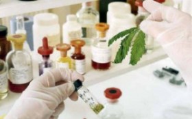 States Require Testing Marijuana for Safety, Potency