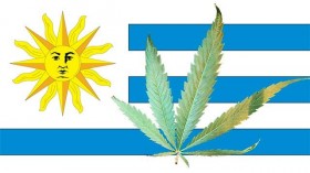 Will Uruguay Be First Country to Legalize Cannabis?