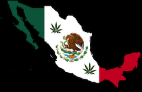 Mexico City to Begin Cannabis Legalization Discussion