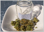 palliative oncology care Source http://norml.org/images/ezine/medical_cannabis.jpg