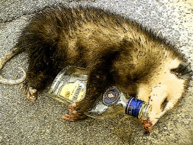 Unexpected Consequences of Repealing Prohibition: Unemployed Wildlife
