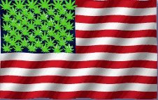 reject cannabis prohibition Source http://1.bp.blogspot.com/_9M9yKRI9XVw/SBNfFBgzJ1I/AAAAAAAAATQ/2IOZL13wie8/s400/legalization-of-marijuana-2-715252.jpg
