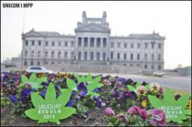 Uruguay House Passes Marijuana Legalization Bill