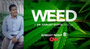 Title: Reflections on Dr. Sanjay Gupta's CNN documentary: WEED, Source: http://s3.amazonaws.com/rapgenius/weedguptat1.jpg