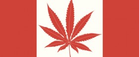 Canada’s New Medical Marijuana System Begins Today