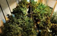Denver City Council Passes Regulations for Retail Cannabis