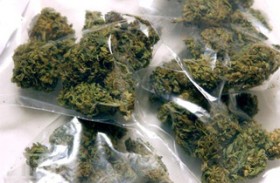 weed, Kid Goes to School With 14 Bags Of Weed, Source: http://www.dondivamag.com/wp-content/uploads/2011/11/500x_1174642.jpg