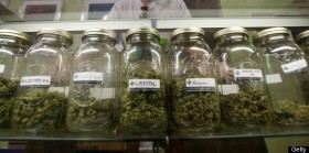 Fort Collins, CO Delays Recreational Marijuana Shops