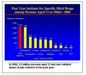 youth drug use 2006 Source http://stopthedrugwar.org/files/imagecache/300px/nsduh-chart.jpg