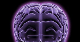 Study: CBD Combats Iron In The Brain, Fights Alzheimer’s
