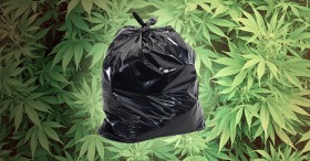 Do Not Donate Giant Bags of Weed to Thrift Stores