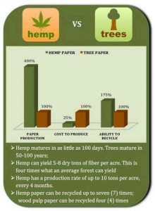 A Call to Action for Industrial Hemp in Oregon - Weedist